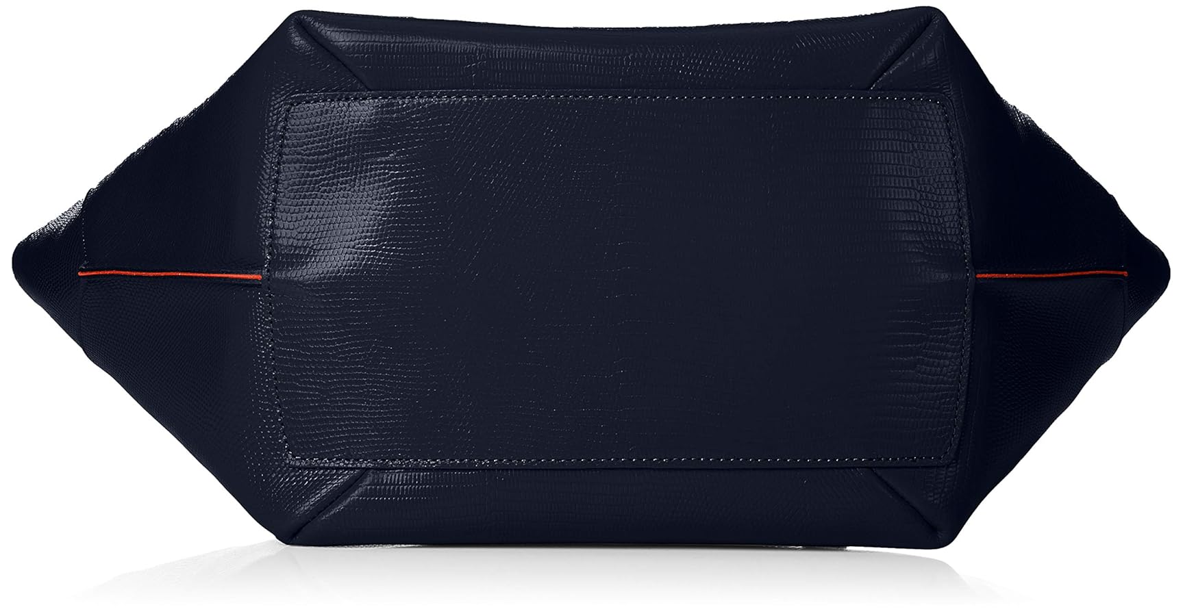 Amazon | [トフアンドロードストーン] ヘプタゴンリザード(L